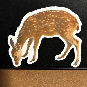 DEER FAWN STICKER